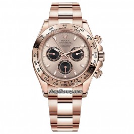 Clean Factory Rolex Daytona  116505-0016 RG  Chocolate Dial / BEST REP ROLEX